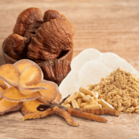 medicinal mushrooms 1