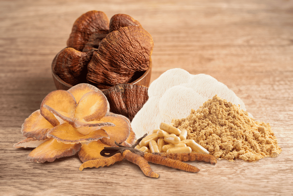 medicinal mushrooms 1